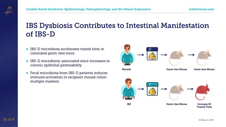 online CME poster The Long and Short of IBS (update on new therapies in IBS)